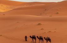 Trip From Erfoud To Merzouga Desert, Dinner, Camel Ride, Sunset