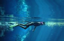 Cenotes snorkeling excursion 