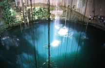 Cenotes snorkeling excursion 