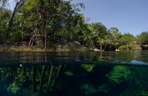 Cenotes snorkeling excursion 