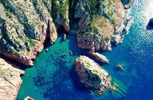 Calanches de Piana and Scandola Reserve cruise with swimming stop