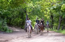Horseback Riding tours in Brasilito
