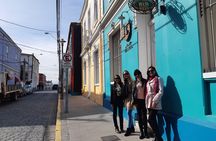 Most complete Tour to Valparaíso + Casablanca Valley Winery(small group tour)