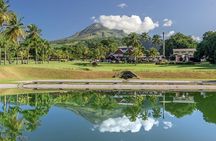 V.I.P North Caribbean deep forest Tour -The Green Martinique