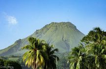 V.I.P North Caribbean deep forest Tour -The Green Martinique