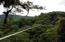 Monteverde Cloud Forest Ziplines Canopy Tour