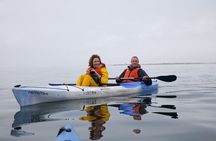 Pelican Point Kayaking Half-Day Tour