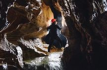 Black Abyss: Ultimate Waitomo Caving - Private Tour from Auckland