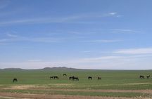 4D3N Huitengxile Grassland Wulanhada volcano Kubuqi Desert Tours
