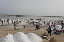 Experience Dakar-Goree-Pink Lake-Safari tour in 2 days