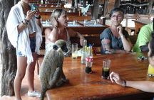 Experience Dakar-Goree-Pink Lake-Safari tour in 2 days