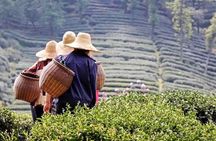 Hangzhou Private Flexible Day Tour with West Lake Boat Cruise
