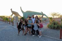 Humberstone Saltpeter Tour - Pica Oasis