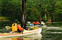 Ucluelet Harbour Tour