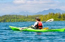 Ucluelet Harbour Tour