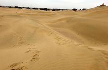 Jaisalmer One Day Sightseeing Tour