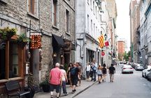 Half day private city tour