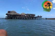 Black River Safari, YS Falls and Floyd's Pelican Bar