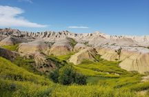 Private Tour of the Badlands with Local Experts