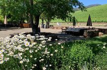 Private Fully Customized Napa and Sonoma Wine Tour
