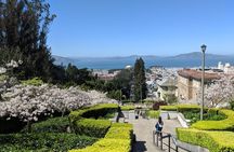 San Francisco Private City Tour