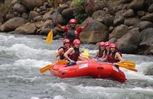 Whitewater Rafting Sarapiqui River Class 2-3 Fortuna to San Jose