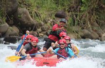Whitewater Rafting Sarapiqui River Class 2-3 San Jose to Fortuna