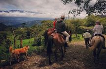 Queveri Horseback Riding Tours