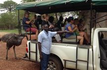 Full-day Bandia / Somone Lagoon: The safari experience