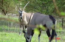 Full-day Bandia / Somone Lagoon: The safari experience