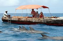 Ocean safari tour