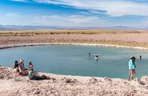 Lagoons in Atacama Salt Flat - Half Day - Typical Tour - San Pedro de Atacama