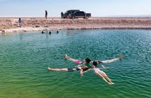 Lagoons in Atacama Salt Flat - Half Day - Typical Tour - San Pedro de Atacama
