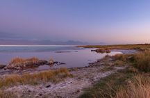 Lagoons in Atacama Salt Flat - Half Day - Typical Tour - San Pedro de Atacama