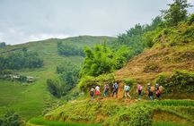Trekking Through Rice Terraced Fields - 1Day​