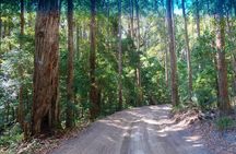 K'gari (Fraser Island) Small Group Day Tour - From Rainbow Beach
