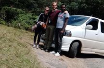 Private Tour to Horton Plaines by Van