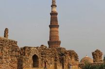 Ranthambore Safari | Bird Watching | Agra & Delhi from Jaipur