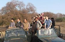 Ranthambore Safari | Bird Watching | Agra & Delhi from Jaipur