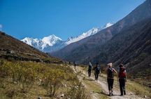 Langtang Valley Trekking