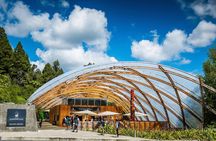 1-Hour Guided Tour of Aranui Cave Waitomo