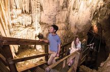 90-Minute Guided Ruakuri Cave Tour Waitomo