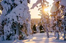 1-Hour Snowmobile Safari Experience 