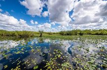 Discover the Everglades with Airboat tour included!