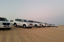 Abu Dhabi Morning Desert Safari
