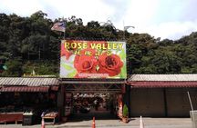 Cameron Highlands Day Trip