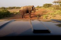 Evening Private Safari at Bundala Park by Yala La Safari Tours