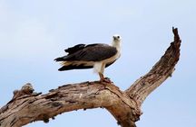Evening Private Safari at Yala National Park by Yala La Safari Tours
