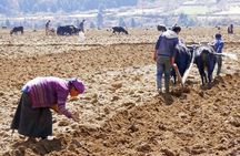 Manaslu Circuit Trekking - 17 Days 