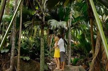 Full Day Discovery Tour of Vallee de Mai and Anse Lazio on Praslin Island